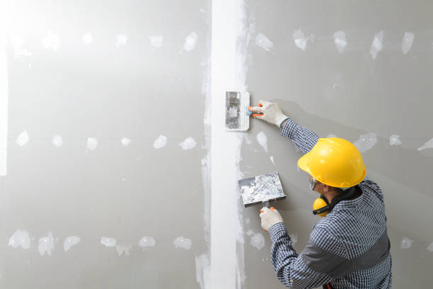 Asbestos and Lead Testing During Mold Inspection in Greendale, WI