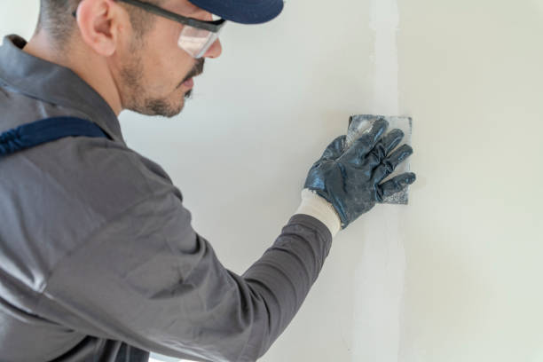 Best Mold Documentation for Insurance Claims  in Greendale, WI