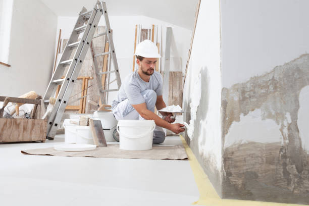 Best Mold Removal for HVAC Installations  in Greendale, WI