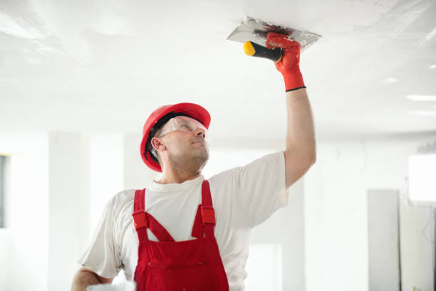 Greendale, WI Mold Removal Company