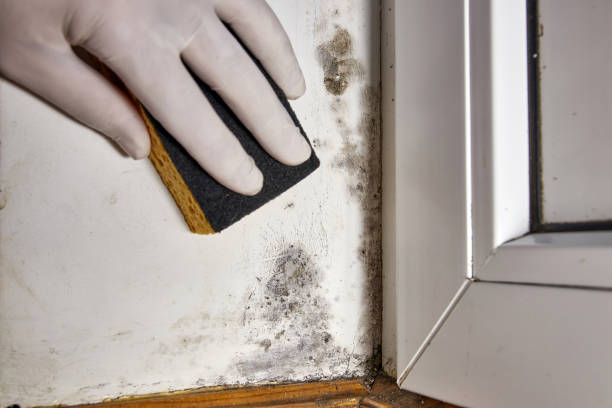 Best Indoor Air Quality Assessment  in Greendale, WI