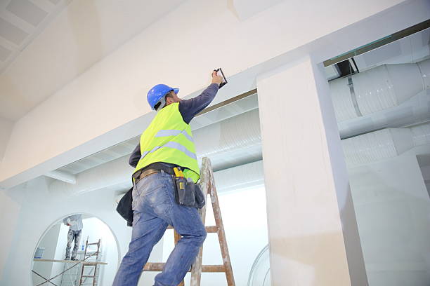 Best Asbestos and Lead Testing During Mold Inspection  in Greendale, WI